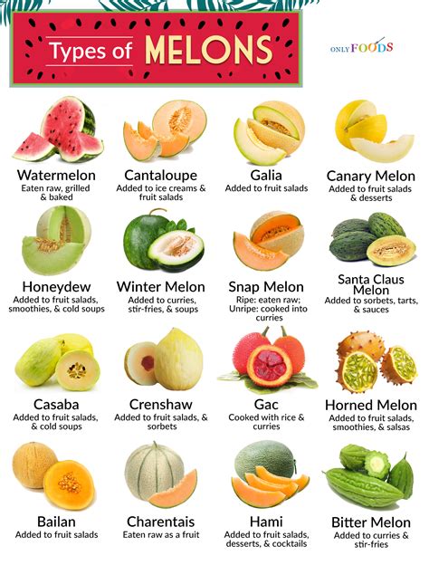 Types of Melons: Different Melon Varieties With Pictures and Names